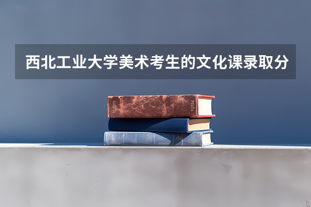 西北工业大学美术考生的文化课录取分数是多少？