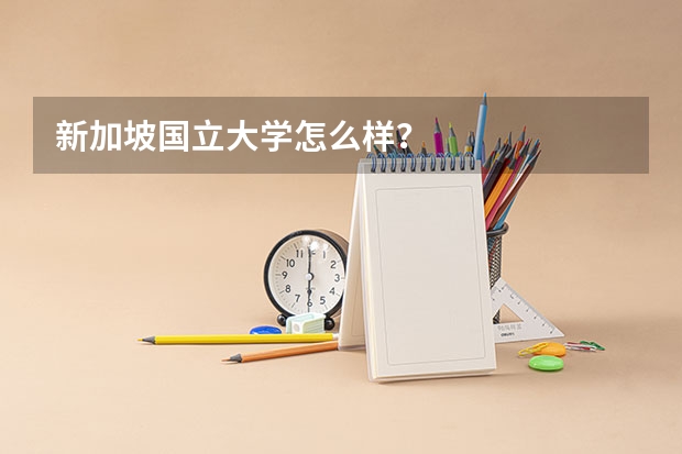 新加坡国立大学怎么样?