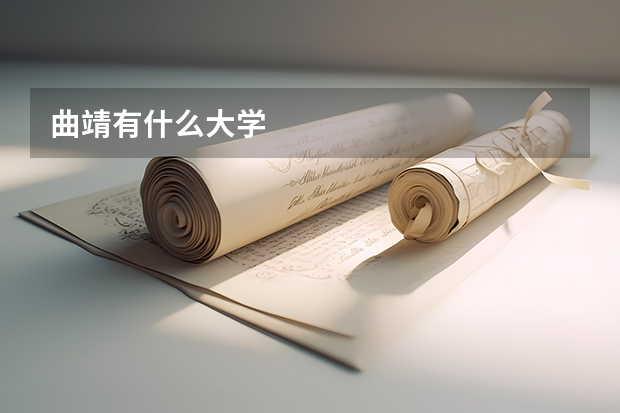 曲靖有什么大学