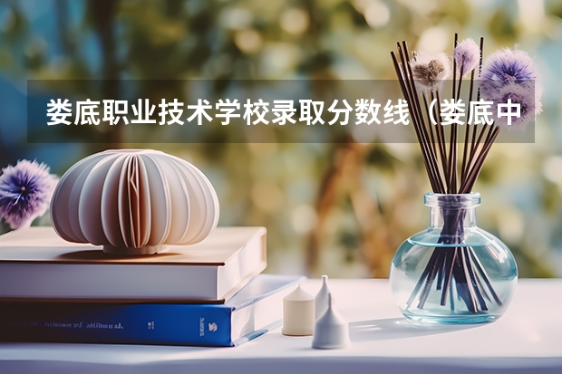 娄底职业技术学校录取分数线（娄底中考各学校录取分数线）