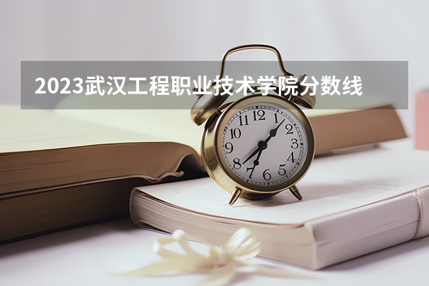 2023武汉工程职业技术学院分数线最低是多少