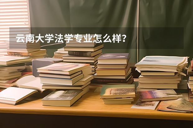 云南大学法学专业怎么样？