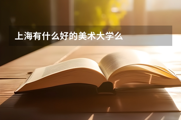 上海有什么好的美术大学么