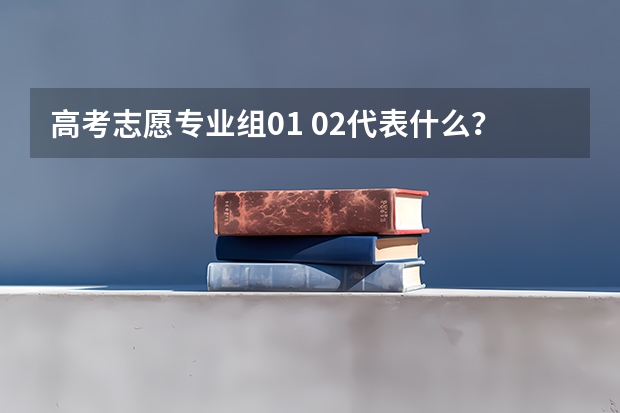高考志愿专业组01 02代表什么？