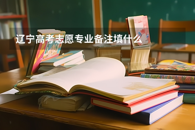 辽宁高考志愿专业备注填什么