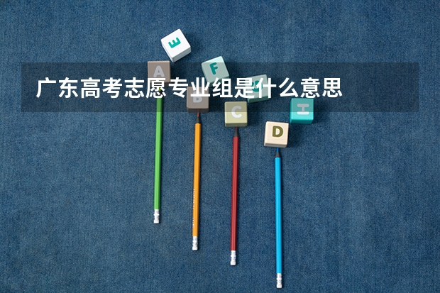 广东高考志愿专业组是什么意思