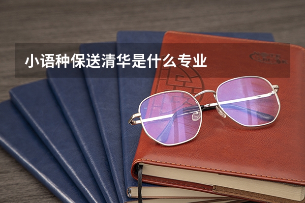 小语种保送清华是什么专业