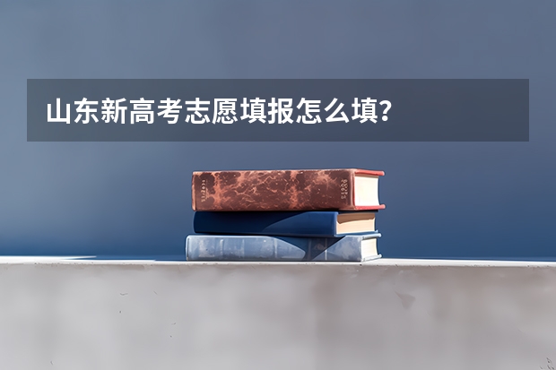 山东新高考志愿填报怎么填？
