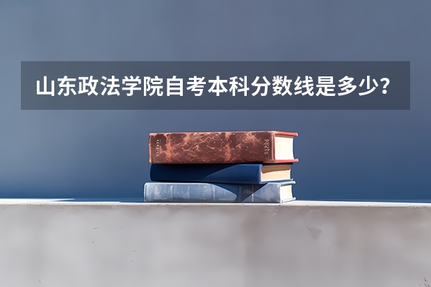 山东政法学院自考本科分数线是多少?