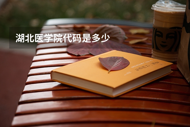 湖北医学院代码是多少