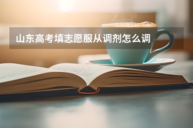 山东高考填志愿服从调剂怎么调