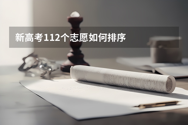 新高考112个志愿如何排序