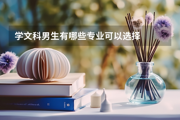 学文科男生有哪些专业可以选择