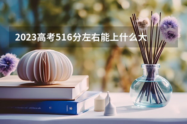 2023高考516分左右能上什么大学