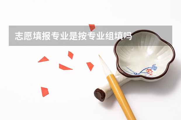 志愿填报专业是按专业组填吗