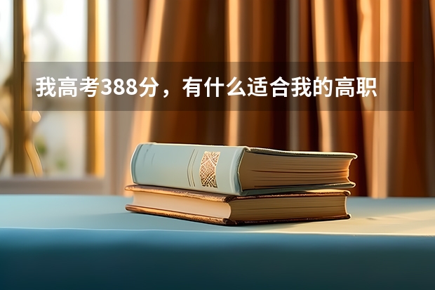 我高考388分，有什么适合我的高职和专业