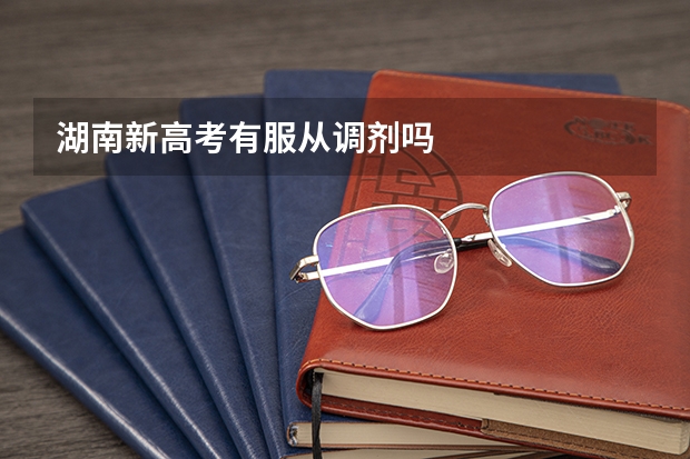 湖南新高考有服从调剂吗
