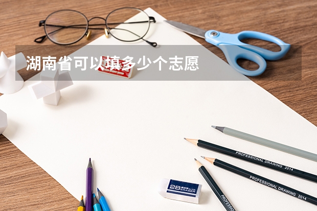 湖南省可以填多少个志愿