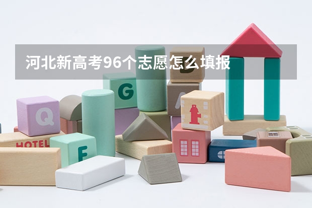 河北新高考96个志愿怎么填报