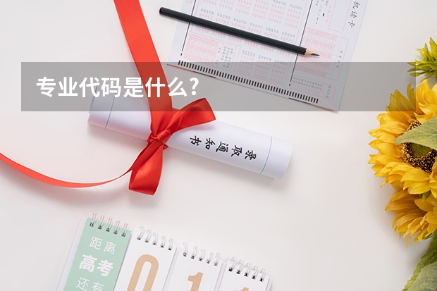 专业代码是什么?