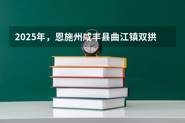2025年，恩施州咸丰县曲江镇双拱桥村十丫口至忠堡界平村公路提档升级何时会进行招标？ 恩施州咸丰县曲江镇双拱桥村十丫口到忠堡界平村公路提档升级项目在2025年具体何时开展招标？