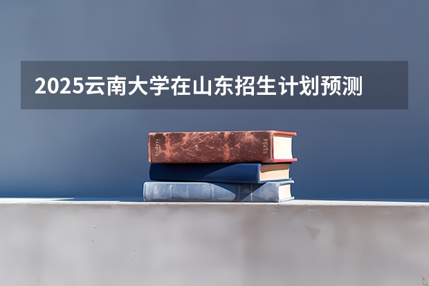 2025云南大学在山东招生计划预测