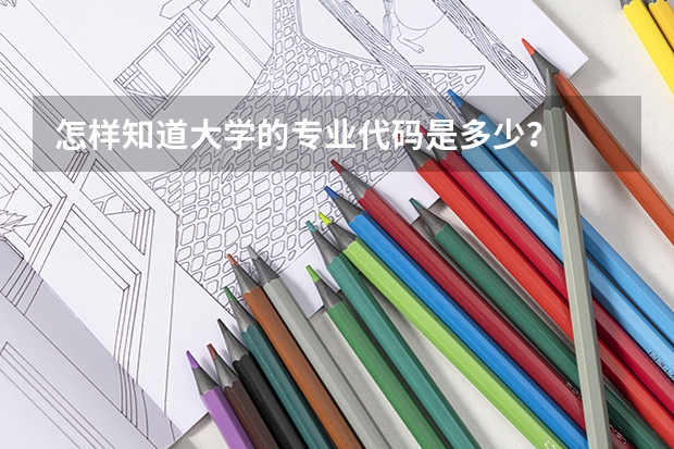 怎样知道大学的专业代码是多少？