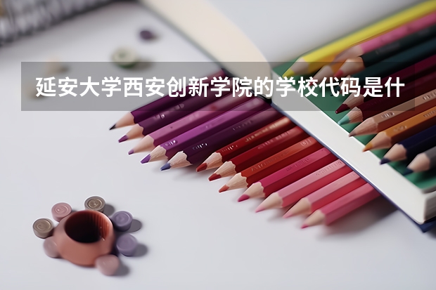 延安大学西安创新学院的学校代码是什么