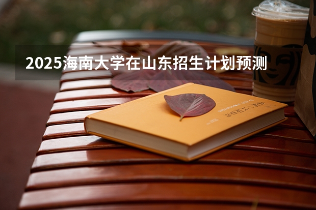 2025海南大学在山东招生计划预测
