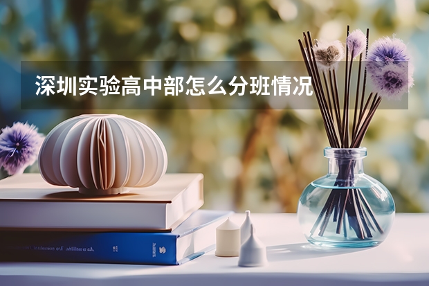 深圳实验高中部怎么分班情况