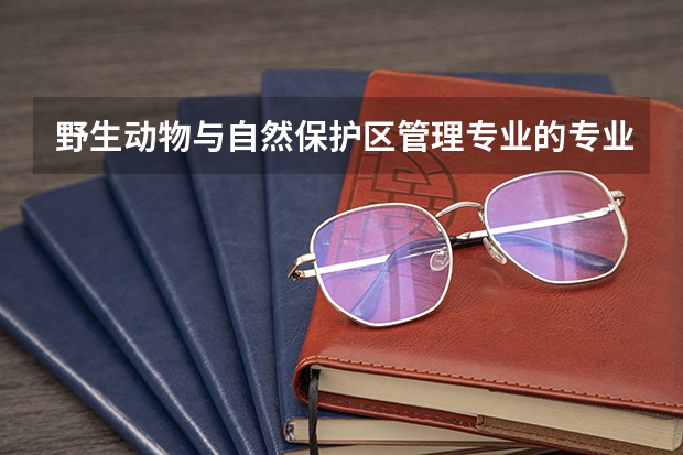 野生动物与自然保护区管理专业的专业代码是什么