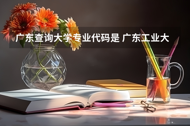 广东查询大学专业代码是 广东工业大学揭阳校区专业代码