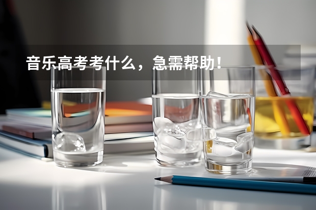 音乐高考考什么，急需帮助！