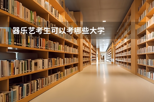 器乐艺考生可以考哪些大学