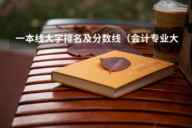 一本线大学排名及分数线（会计专业大学排名及分数线）