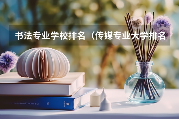 书法专业学校排名（传媒专业大学排名及分数线）
