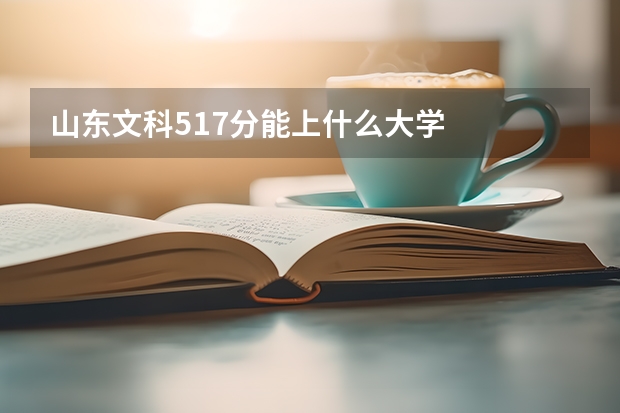 山东文科517分能上什么大学